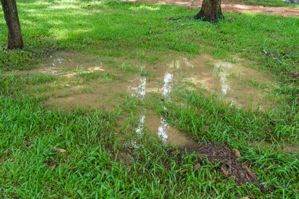 Storm Water Drainage Service in Fayetteville