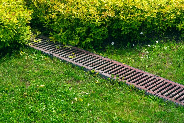 Lawn Drainage