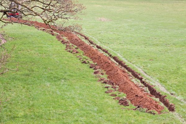 Cost of Swale Installation in Fayetteville