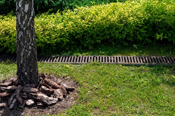 Garden Drainage Installation in Fayetteville