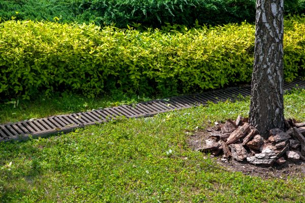 Residential Landscape Drainage in Fayetteville