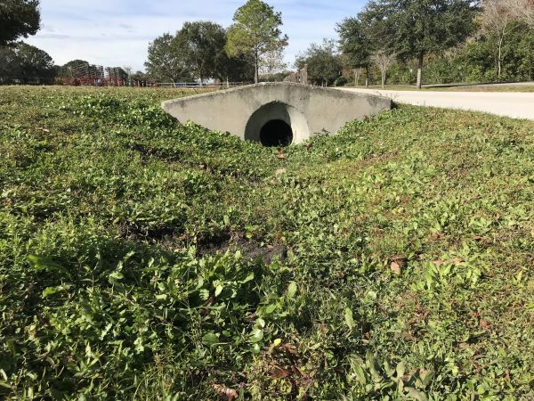 Cost of Swale Drainage Service in Fayetteville